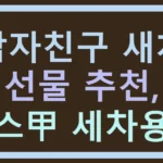 남자친구 새차 선물 추천, 센스甲 세차용품 남자친구 새차 선물 추천, 센스甲 세차용품