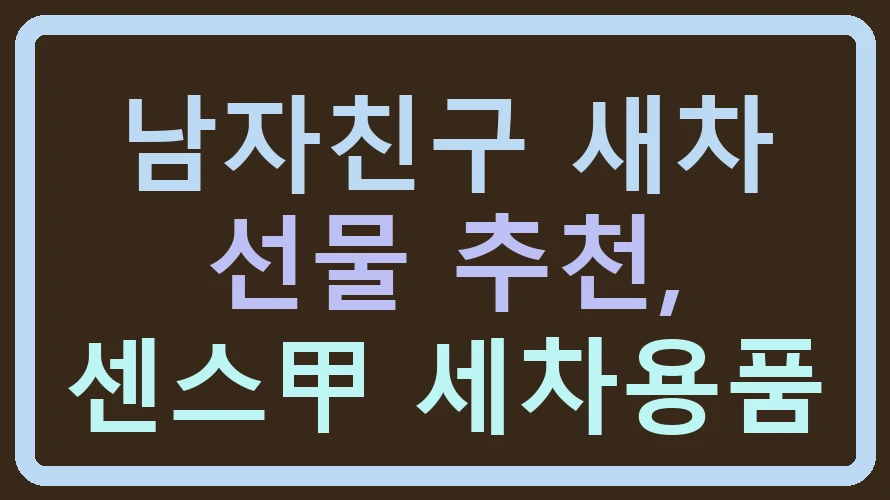 남자친구 새차 선물 추천, 센스甲 세차용품