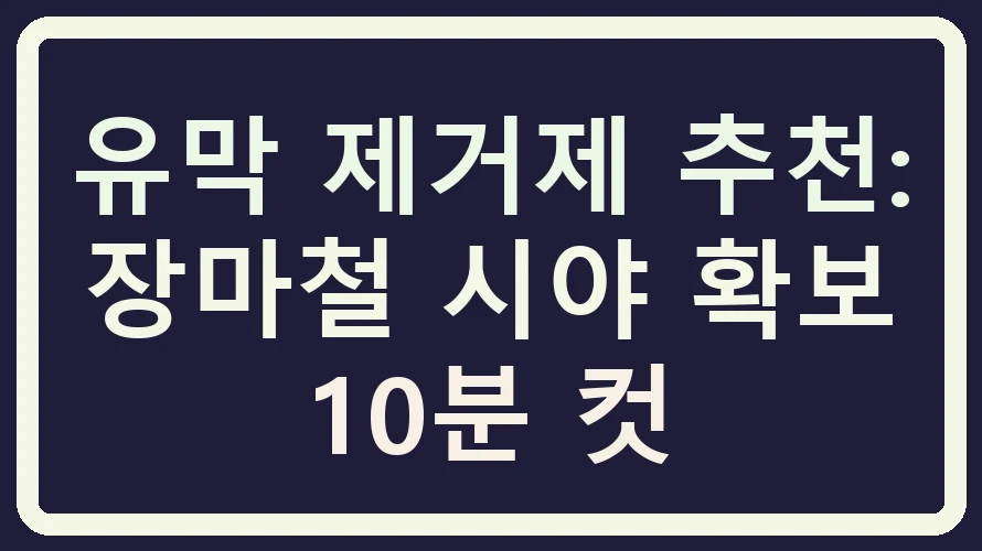 유막 제거제 추천: 장마철 시야 확보 10분 컷