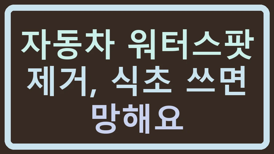 자동차 워터스팟 제거, 식초 쓰면 망해요