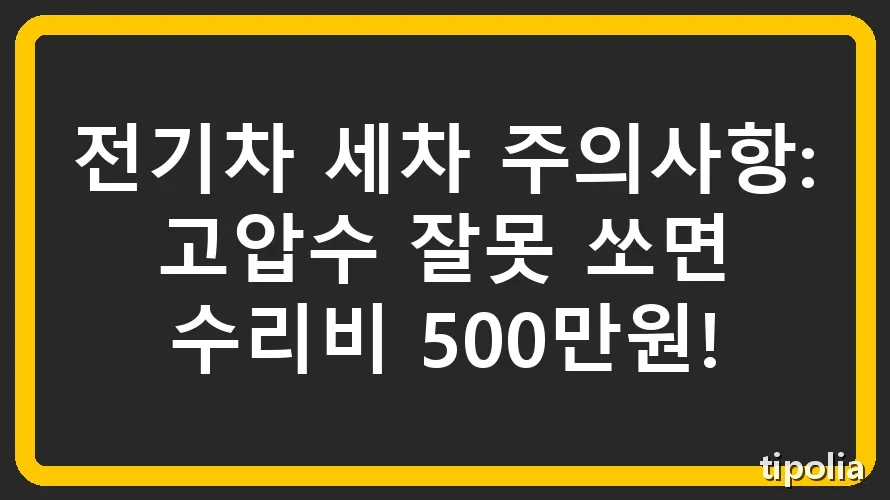 전기차 세차 주의사항: 고압수 잘못 쏘면 수리비 500만원!