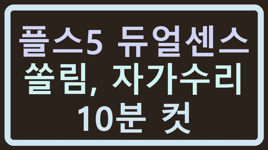 플스5 듀얼센스 쏠림, 자가수리 10분 컷