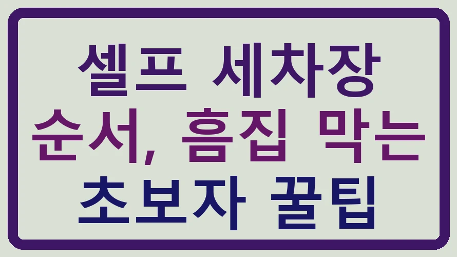 셀프 세차장 순서, 흠집 막는 초보자 꿀팁
