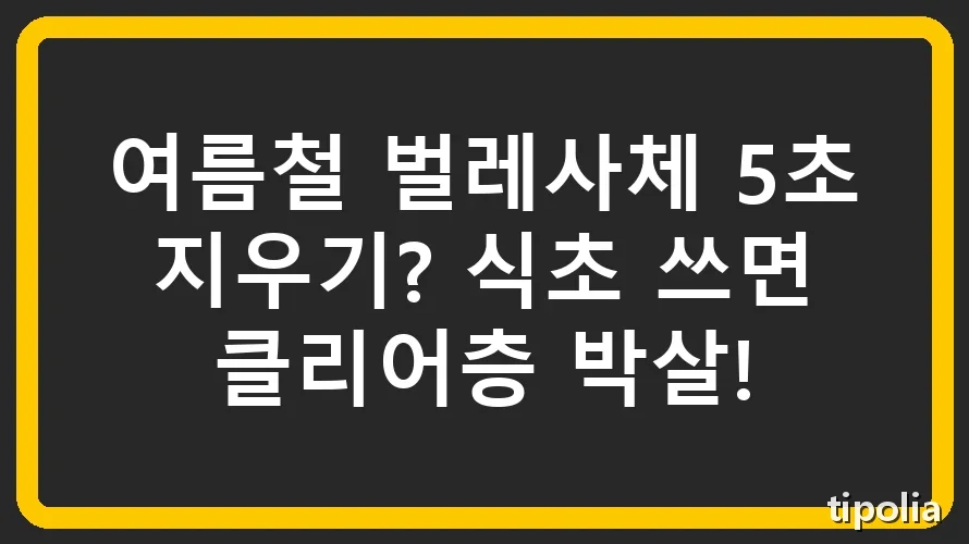 여름철 벌레사체 5초 지우기? 식초 쓰면 클리어층 박살!