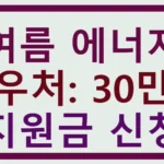여름 에너지 바우처: 30만원 지원금 신청